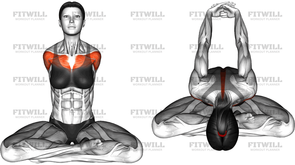 Easy Pose (Hands Behind Interlocked And Bend Forwa)