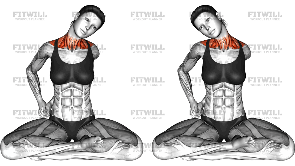 Sitting Neck Stretch Circle