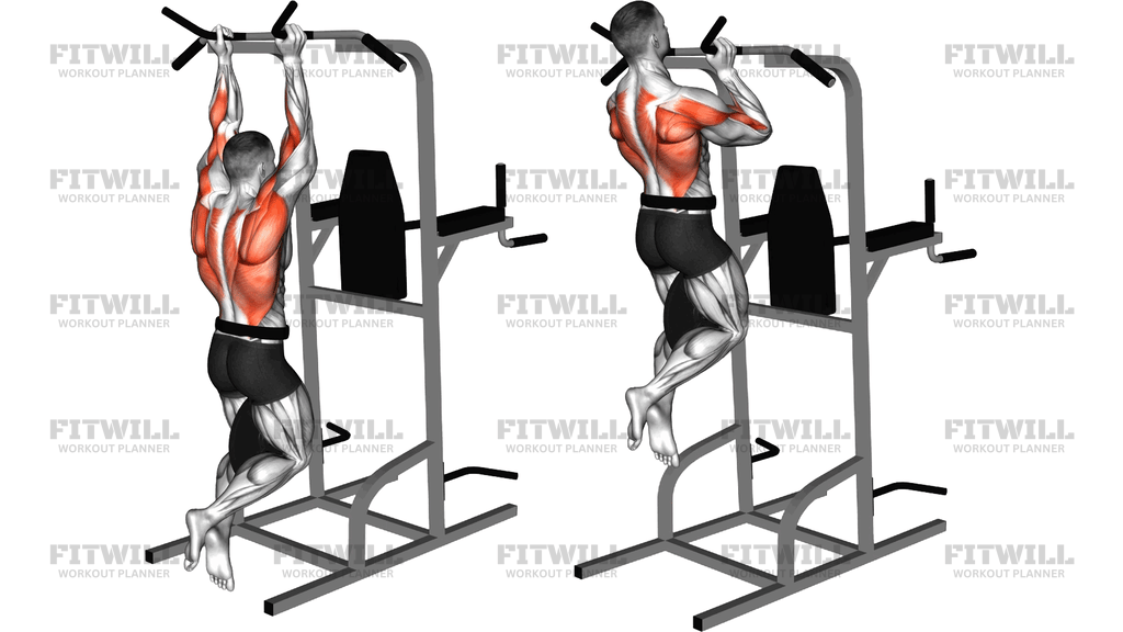 Weighted Neutral Grip Chin Up