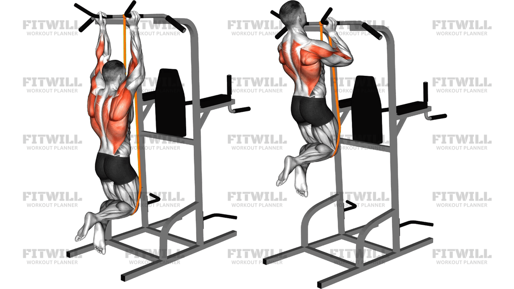 Resistance Band Assisted Neutral Grip Chin Up