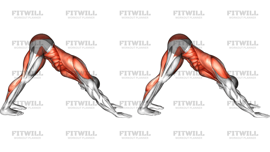 Downward Dog Crunch