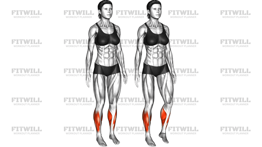 Standing Ankle Circles (Version 2)