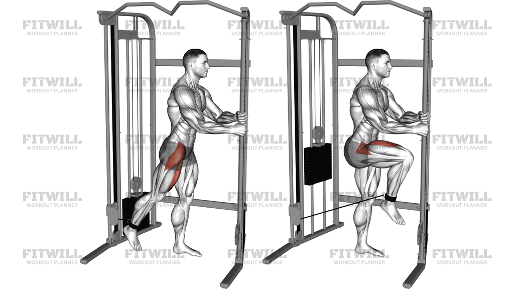 Cable Standing Hip Flexion