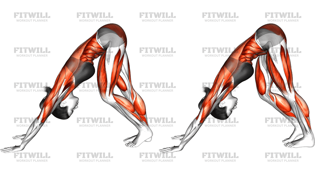 Cat Cow To Wide Downward Dog Calf Stretch