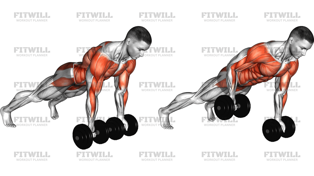 Dumbbell Underhand Renegade Row