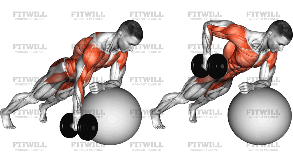 Dumbbell Renegade Row On Stability Ball