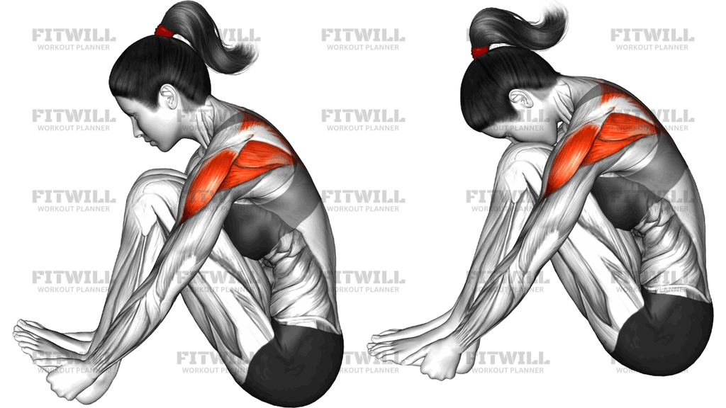 Seated Back Stretch Both Hands To Feet
