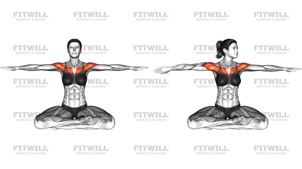 Seated Alternate Arms Rotation