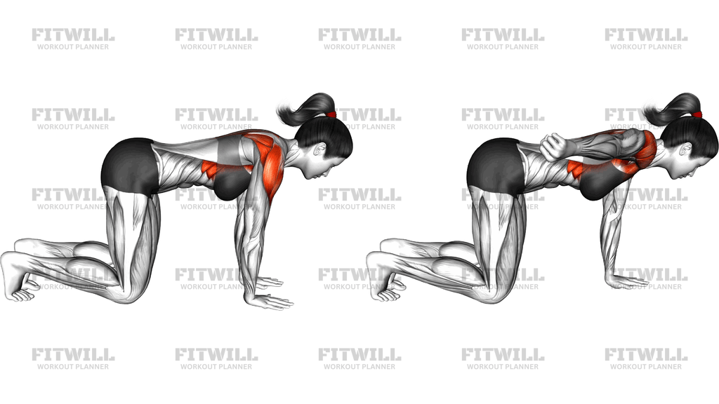Quadruped Shoulder Cars