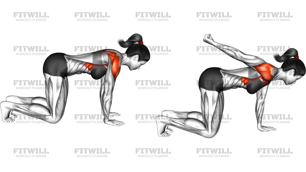 Quadruped Shoulder Cars (Version 2)