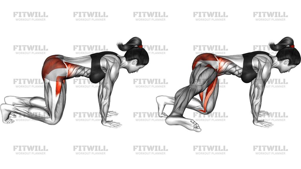 Quadruped Hip Extension To Abduction