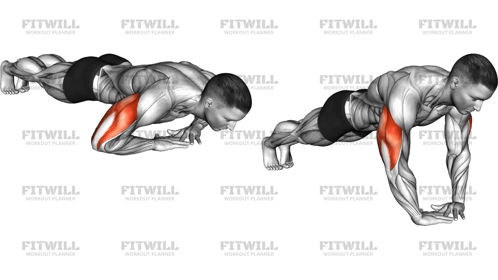 Cross Arms Triceps Extension