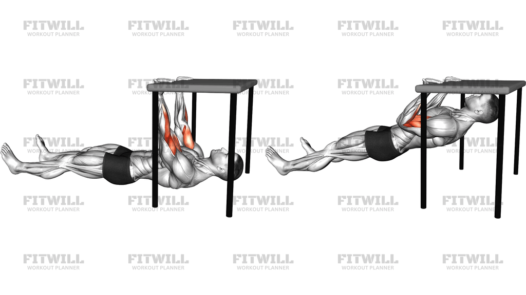 Biceps Curl Under Table