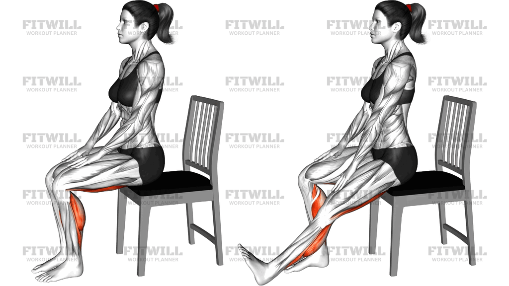 Seated Alternate Hamstrings Stretch On A Chair