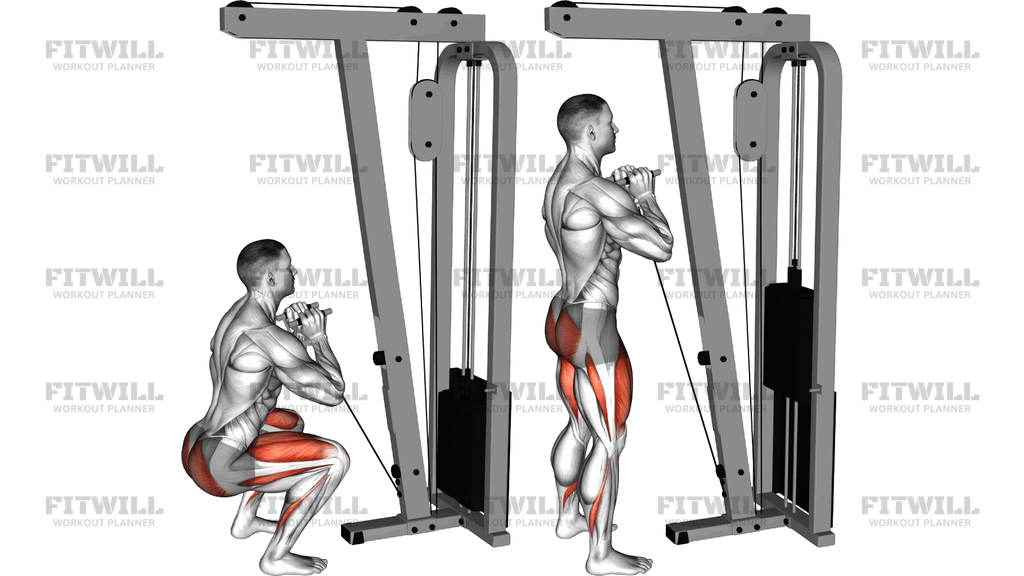 Cable Goblet Squat