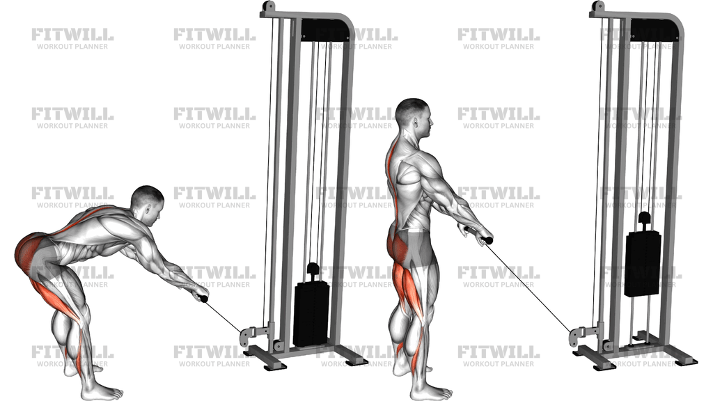 Cable Romanian Deadlift