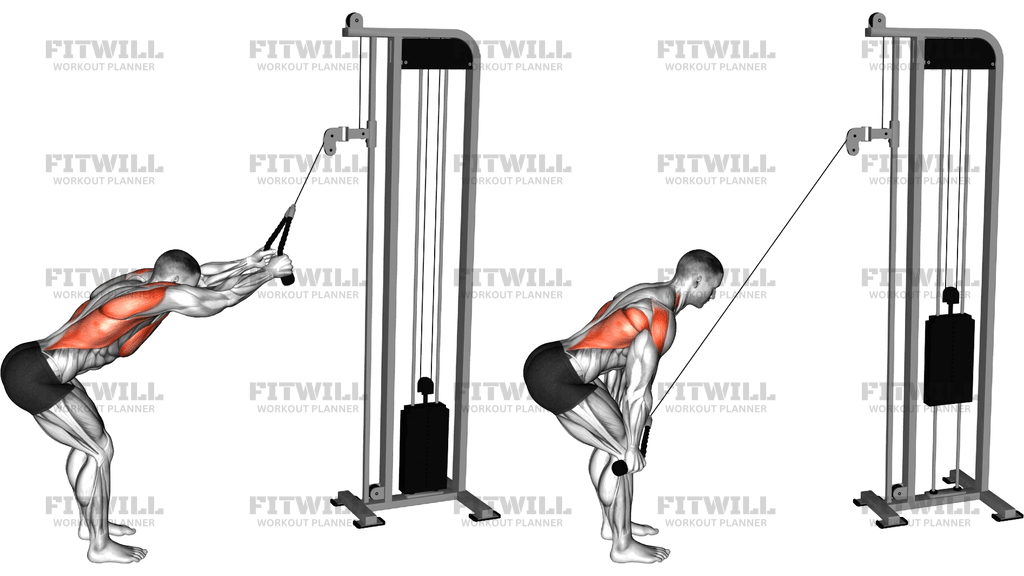Cable Straight Arm Pulldown (With Rope Attachment)