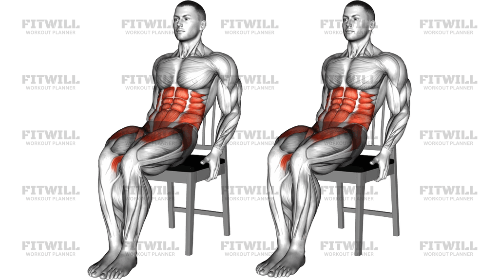 Seated Knee Raise Leg Raise On A Chair