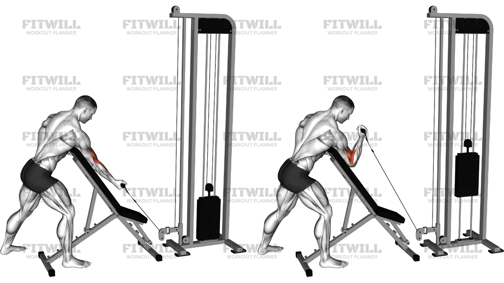 Cable Standing Single Arm Preacher Curl