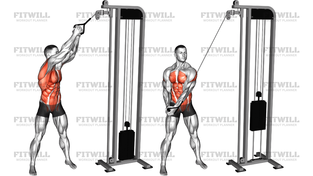 Cable High To Low Woodchopper