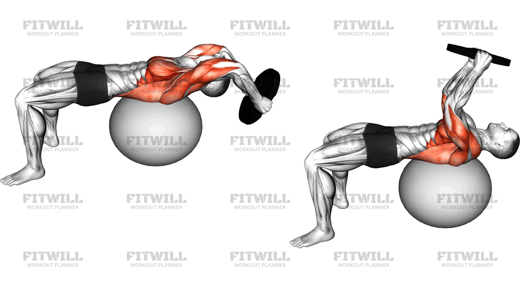 Weighted Plate Pullover On Stability Ball