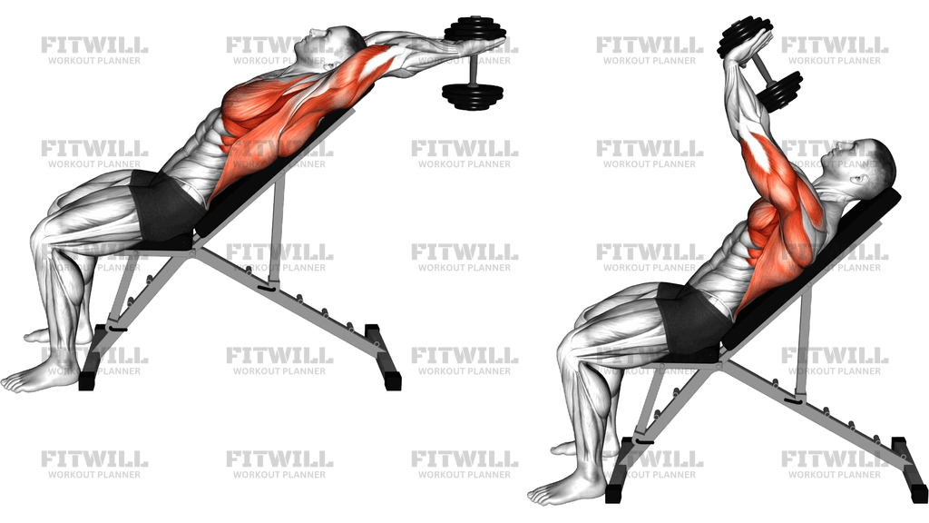 Dumbbell Incline Pullover