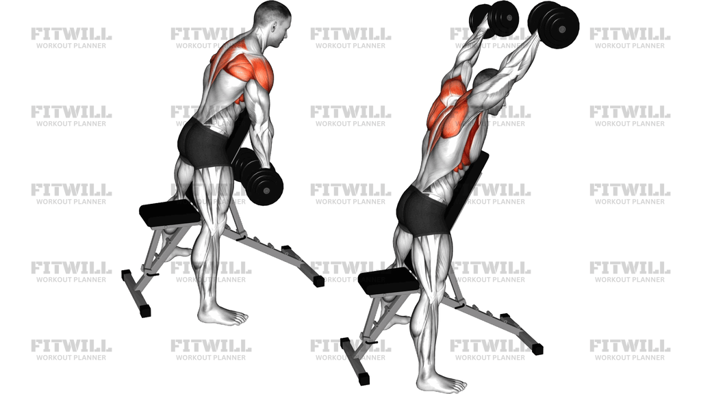 Dumbbell Standing Prone Y Raise