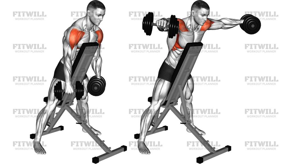Dumbbell Standing Prone Lateral Raise