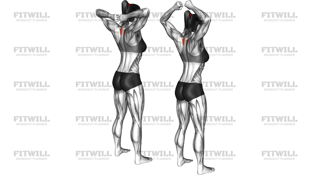 Bodyweight Standing T Spine Press