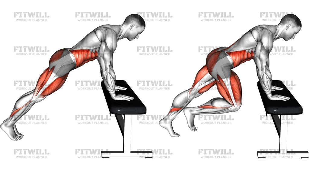 Elevated Mountain Climber With Hands On A Bench