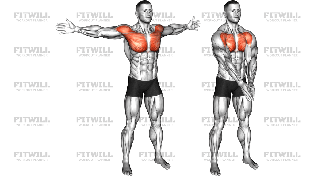 Bodyweight Standing Straight Arm Chest Low Fly