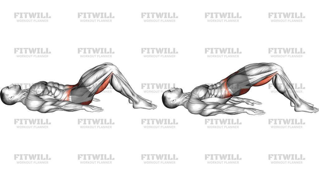 Hamstring Bridge