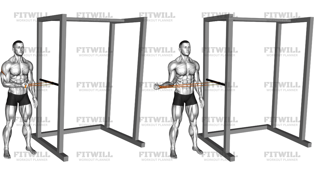 Resistance Band Standing Shoulder Extrernal Rotati
