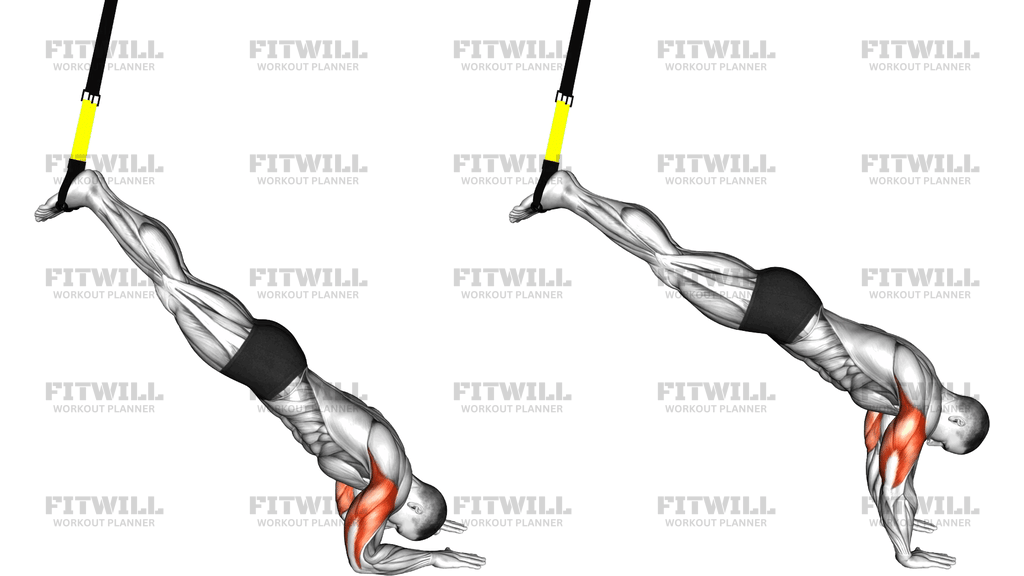 Suspender Triceps Press