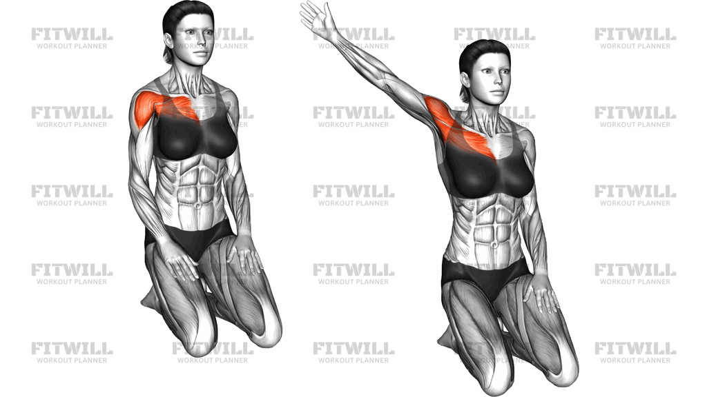 Seated Over Head Straight Arm Stretch