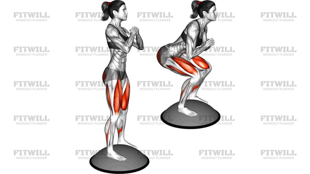 Squat On Bosu Ball