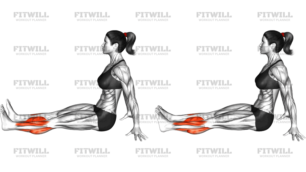 Seated Ankle Circle (Clockwise)