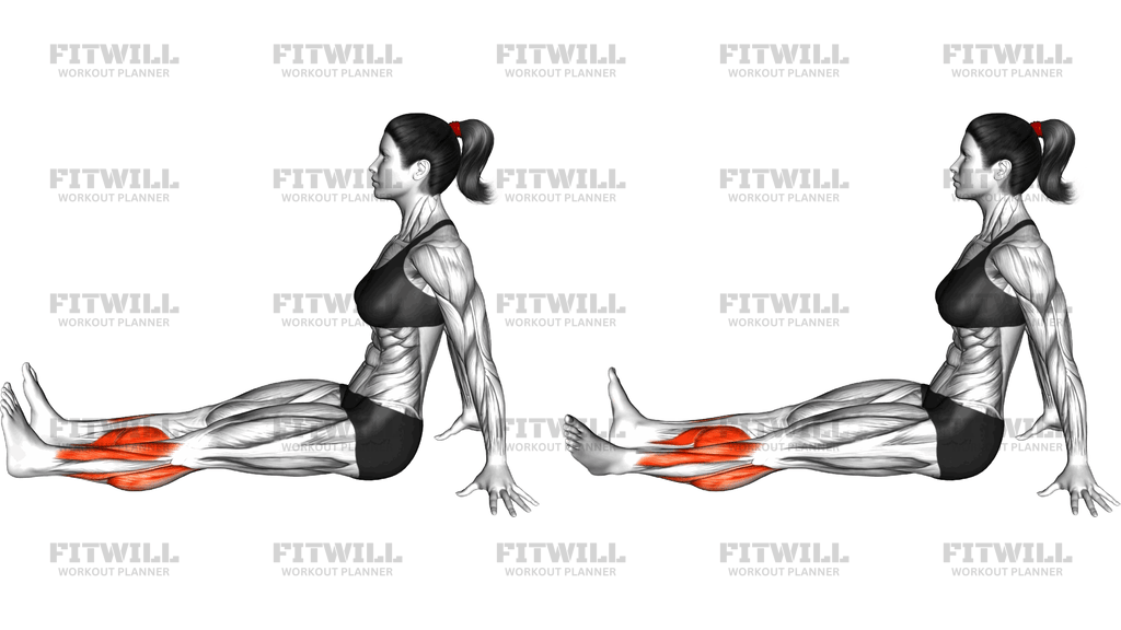 Seated Ankle Circle (Anti Clockwise)
