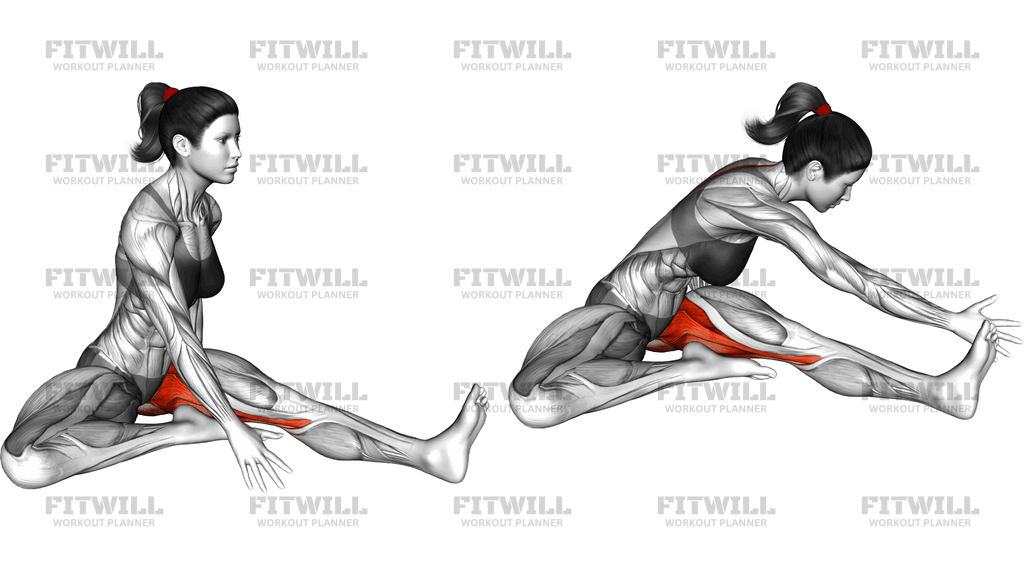 Seated Cross Body Hamstring Reach