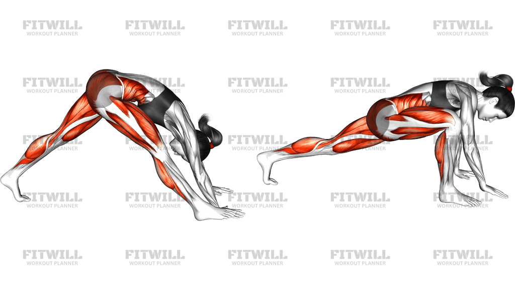 Lizard Extension To Twist