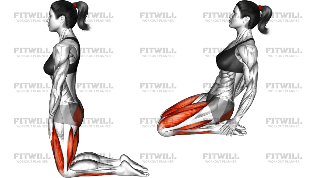 Seated To Intense Plantar Flexion