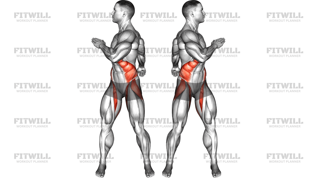 Rotation Back Swing