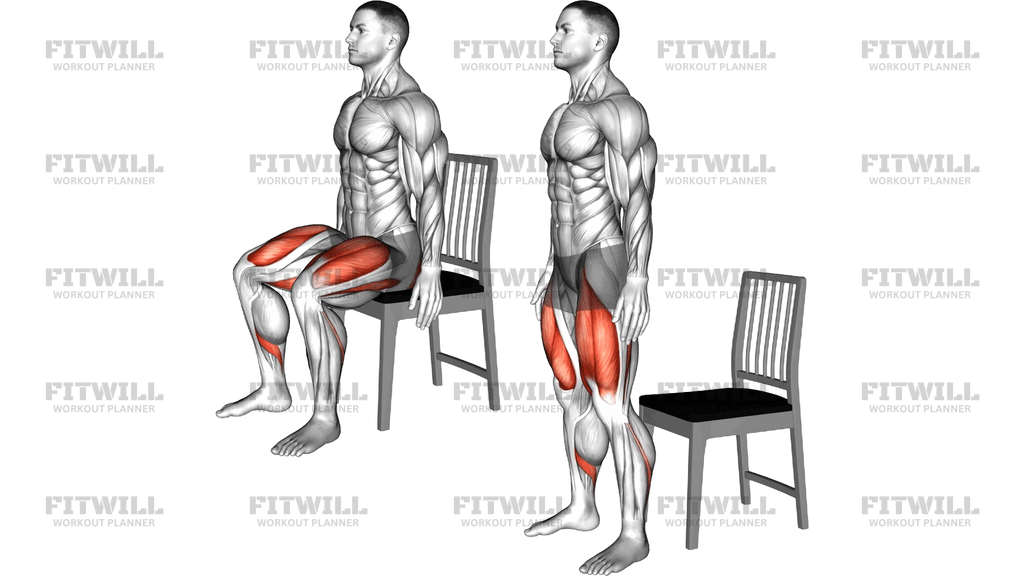Sit To Stand On A Chair