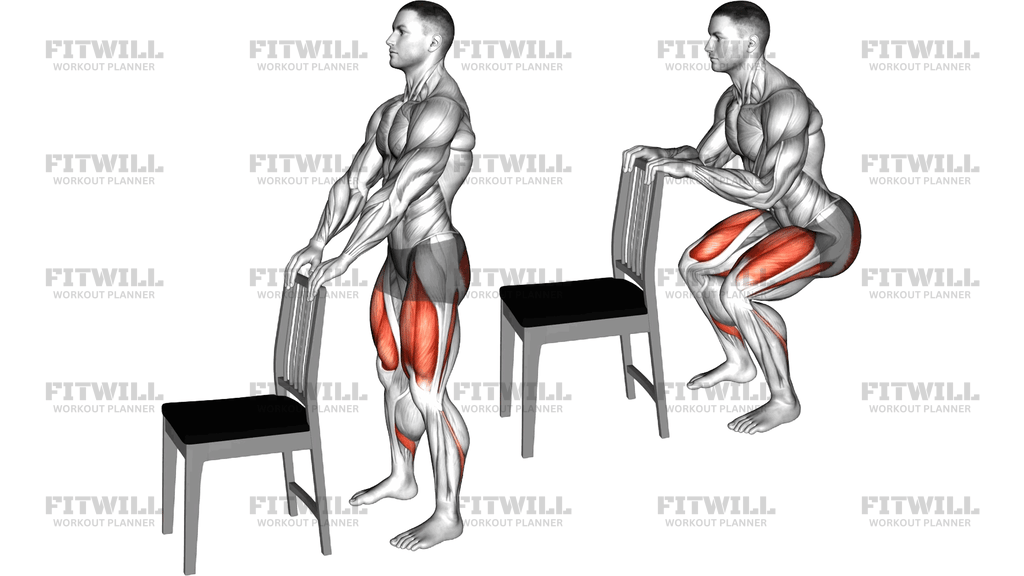 Mini Squat With A Chair