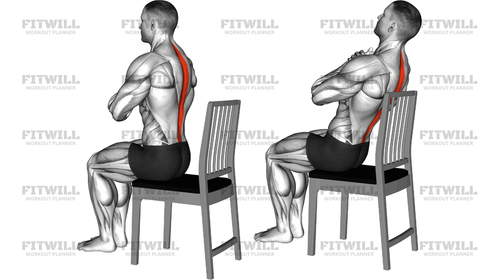 Seated Lean Back On A Chair