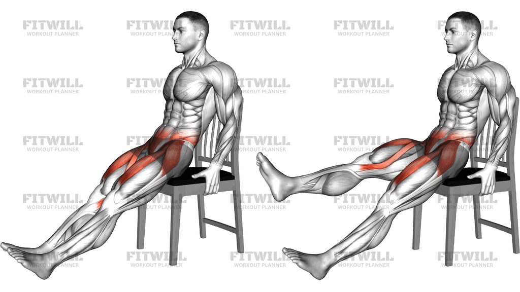 Seated Extended Leg Raise On A Chair