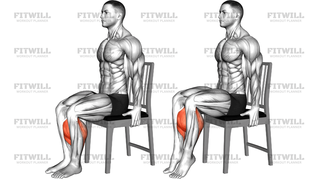 Calf Raise Seduto Su Una Sedia