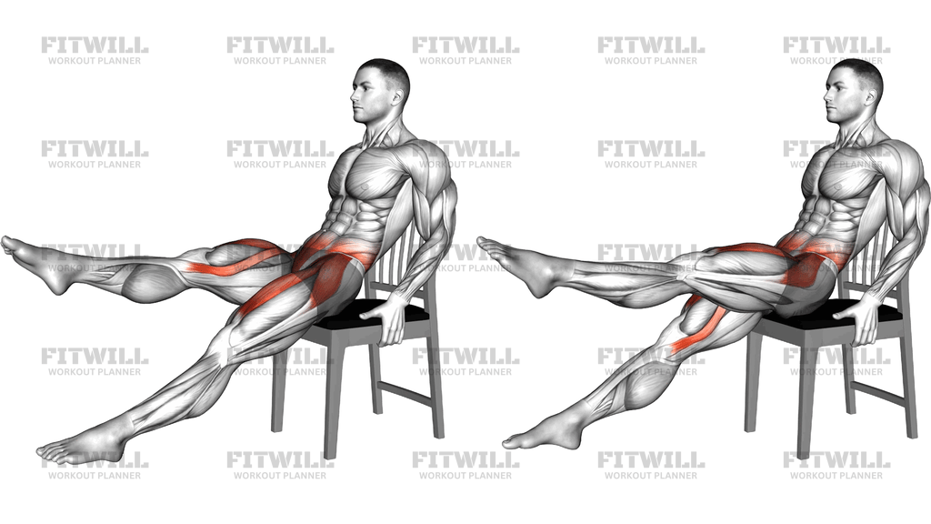 Seated Leg Kick On A Chair