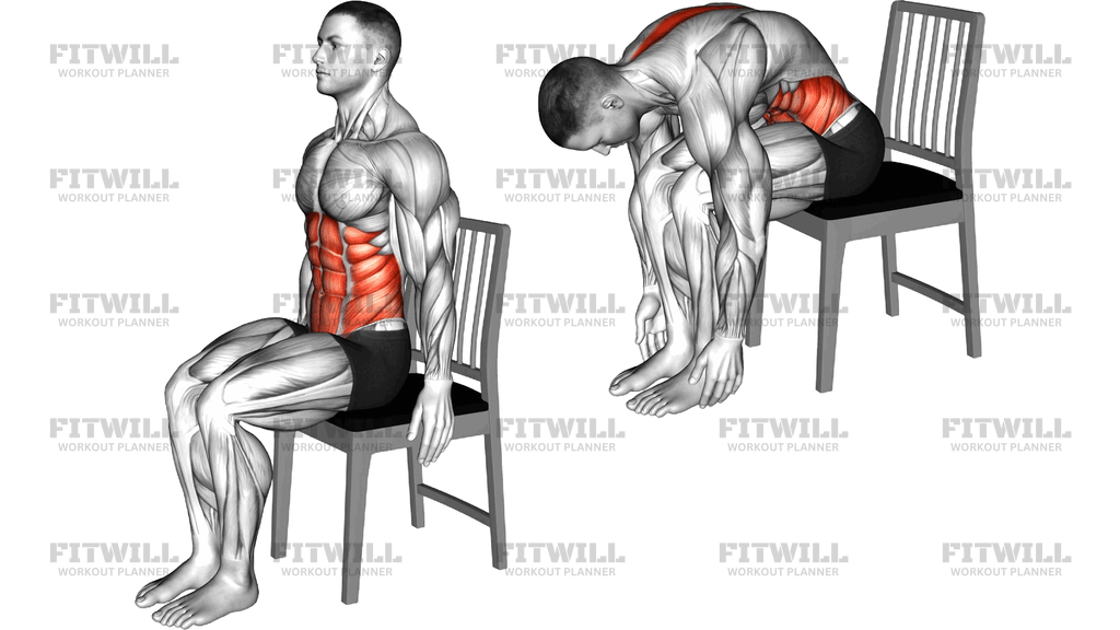 Seated Forward Bend Stretch On A Chair
