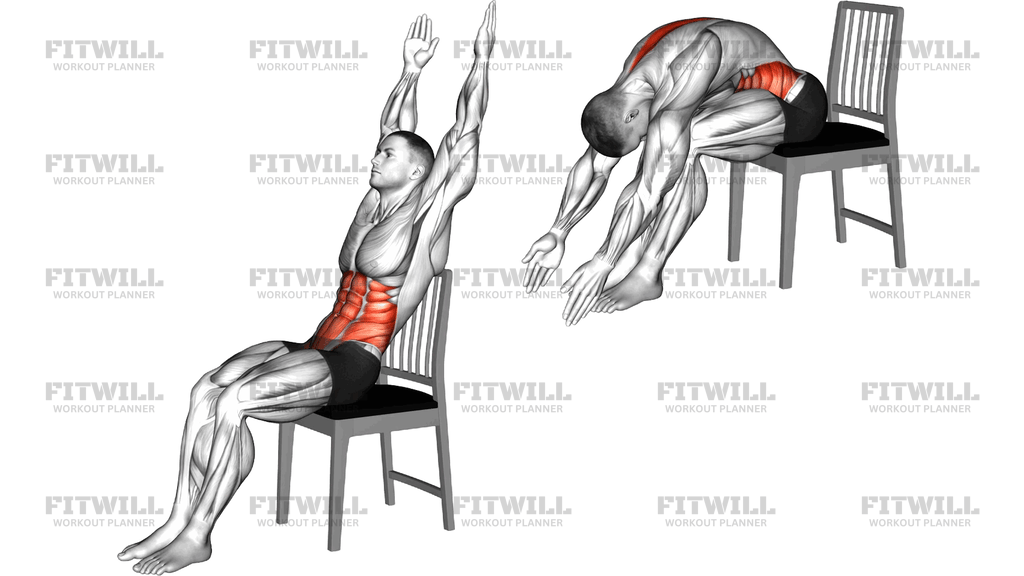 Seated Forward Roll Up On A Chair